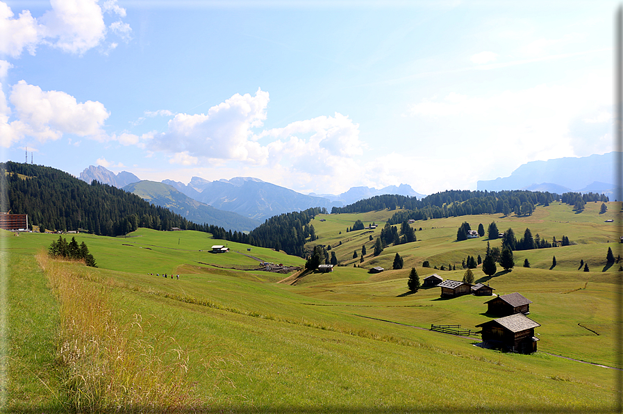 foto Alpe di Siusi